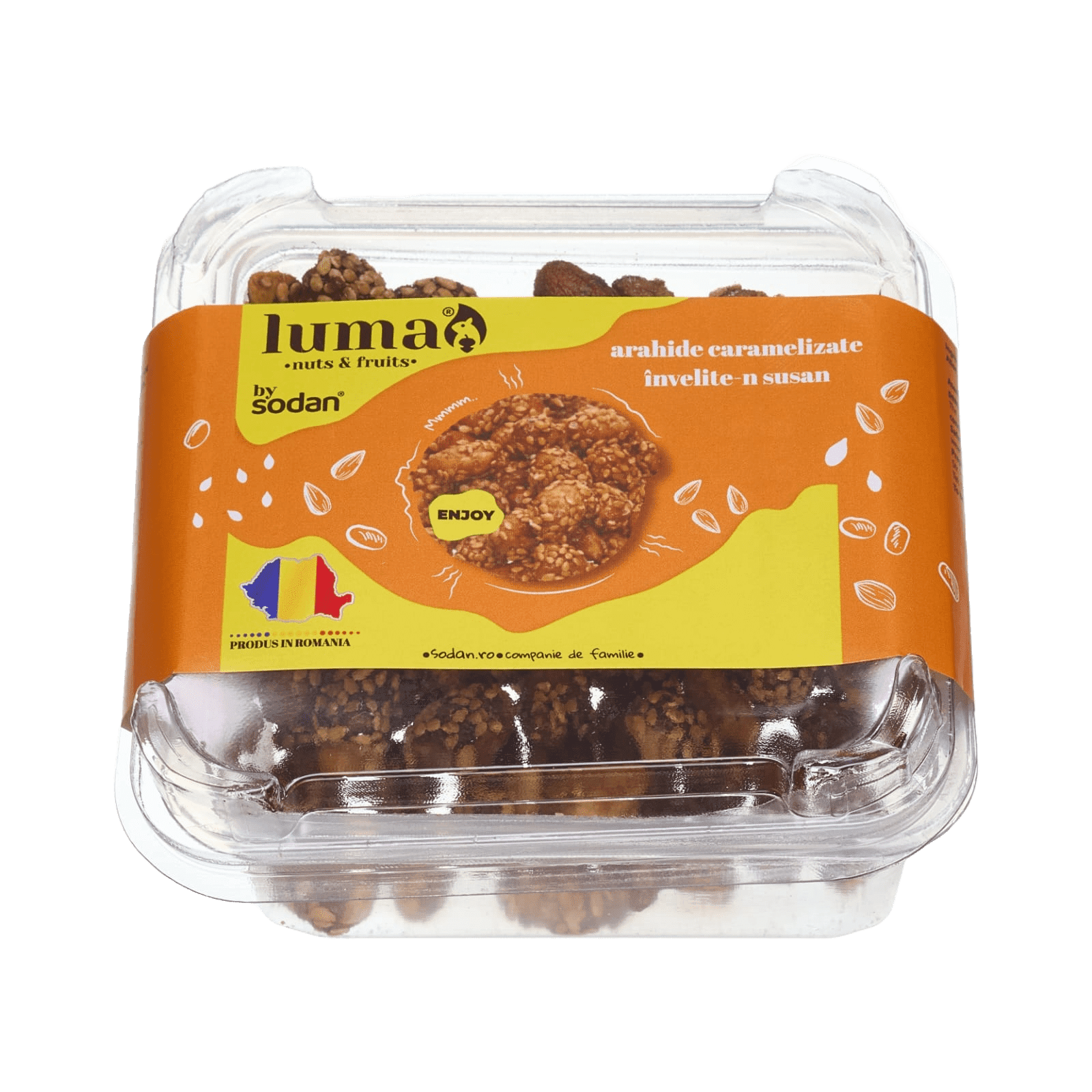 Adobe Express - file-26